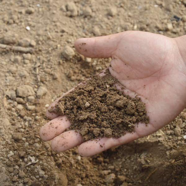 A handful of good soil